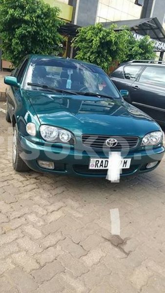 Big with watermark 49828804 2234350310218590 4104371692673957888 n