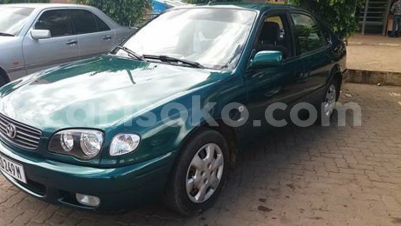 Big with watermark 49318336 2234350293551925 7195023896813240320 n