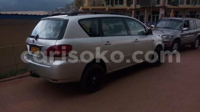 Big with watermark 49490972 2234809596839328 2737058473056403456 n