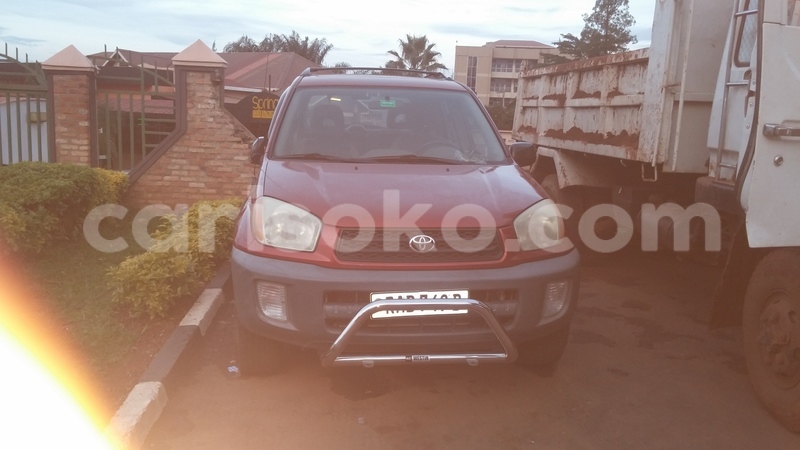 Big with watermark 1203161751a