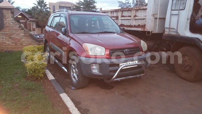 Big with watermark 1203161751