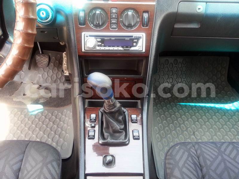 Big with watermark 20170118 124100