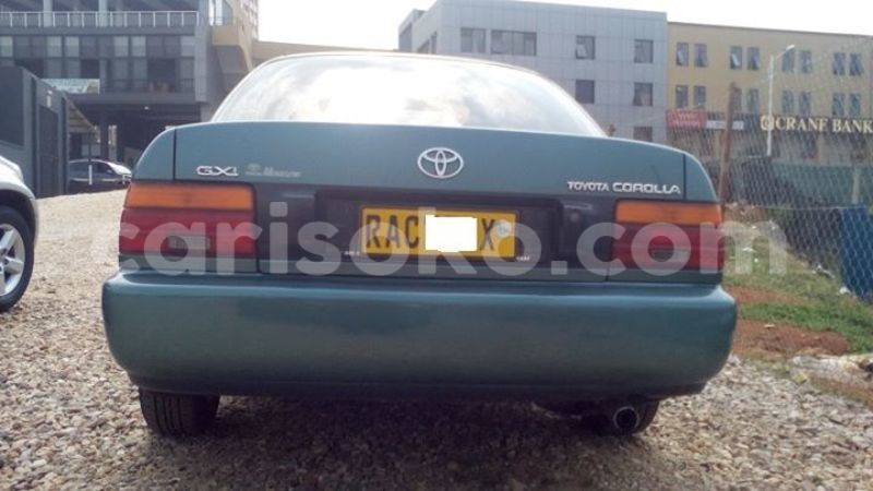 Big with watermark 2016 12 31 04 04 12 20161228 150003 800 640 0