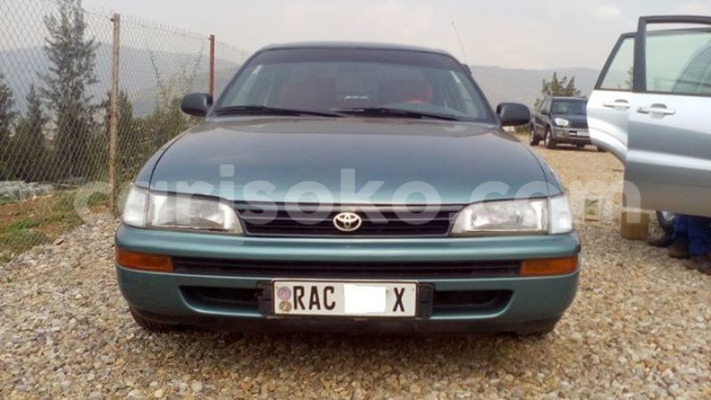 Big with watermark 2016 12 31 04 04 12 20161228 150053 800 640 0