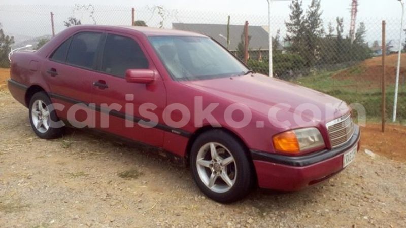 Big with watermark 2016 12 31 04 04 12 20161228 150003 800 640 0