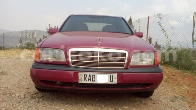 Big with watermark 15940735 1705691006408097 7251934696248635930 n