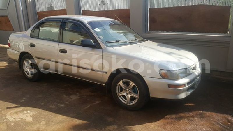 Big with watermark 2016 12 31 04 04 12 20161228 150003 800 640 0