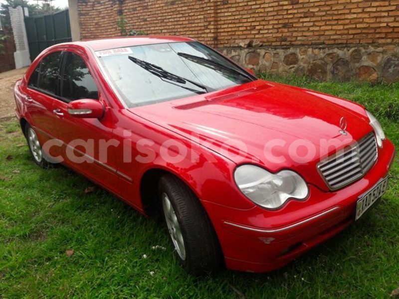 Big with watermark 16265183 1284429024956141 5754992797401084802 n