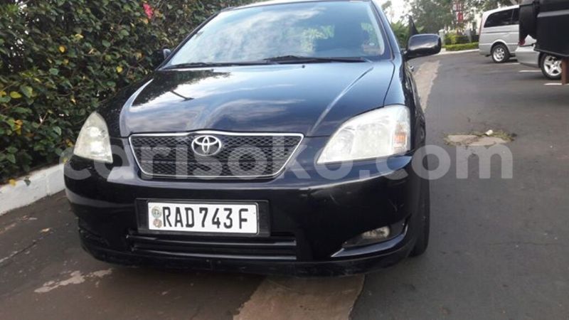 Big with watermark 16265183 1284429024956141 5754992797401084802 n