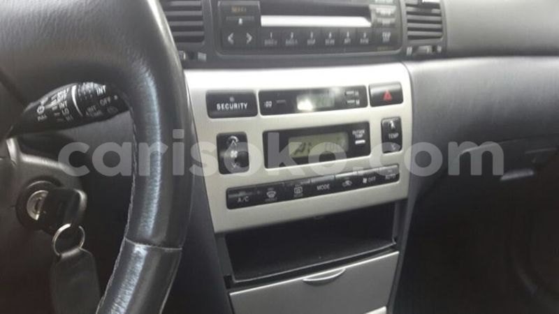 Big with watermark 16298494 1556577997703333 5880869471342312895 n