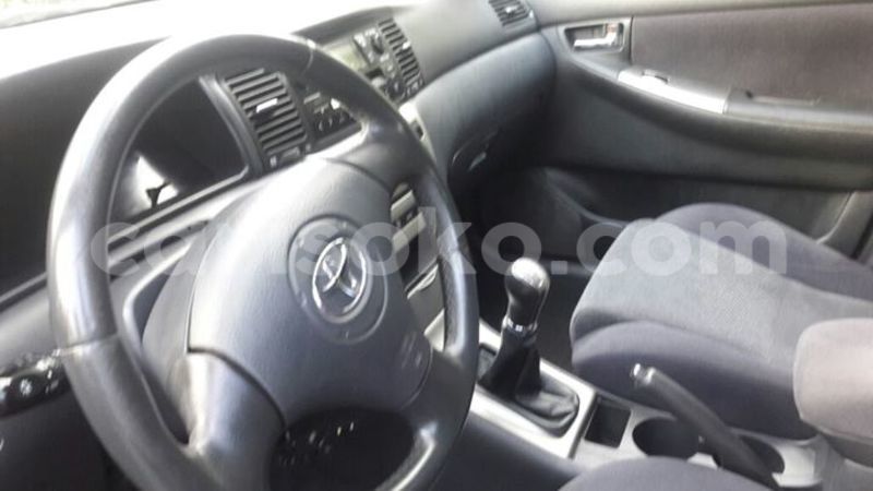 Big with watermark 16299227 1284429018289475 5943388659634541262 n