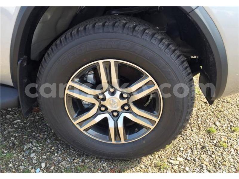 Big with watermark furtuner4