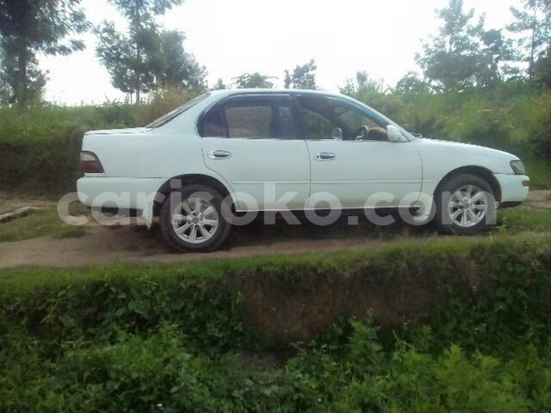 Big with watermark 15995194 1275714392474805 4908956115904413786 o