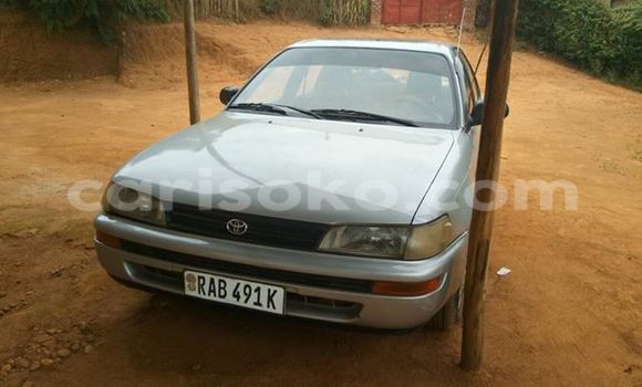 اشتري مستعمل Toyota Corolla Gris سيارة في Gicumbi في Rwanda اشتري مستعمل Toyota Corolla Gris سيارة في Gicumbi في Rwanda