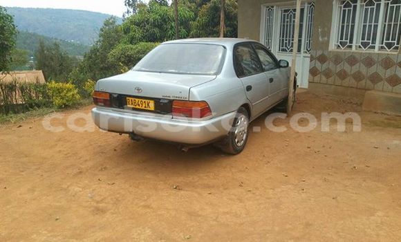 اشتري مستعمل Toyota Corolla Gris سيارة في Gicumbi في Rwanda اشتري مستعمل Toyota Corolla Gris سيارة في Gicumbi في Rwanda