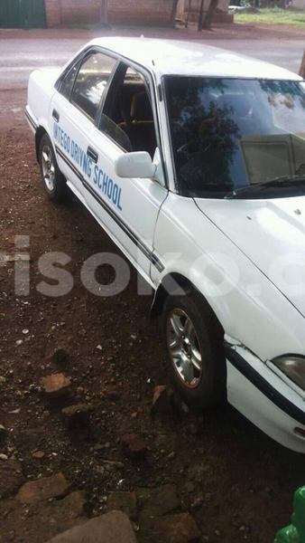 Big with watermark 16298494 1556577997703333 5880869471342312895 n