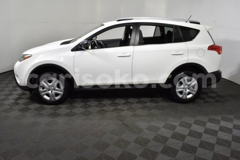 Big with watermark 4