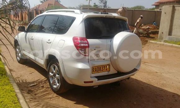 Buy Used Toyota RAV4 White Car in Kigali in Rwanda Buy Used Toyota RAV4 White Car in Kigali in Rwanda