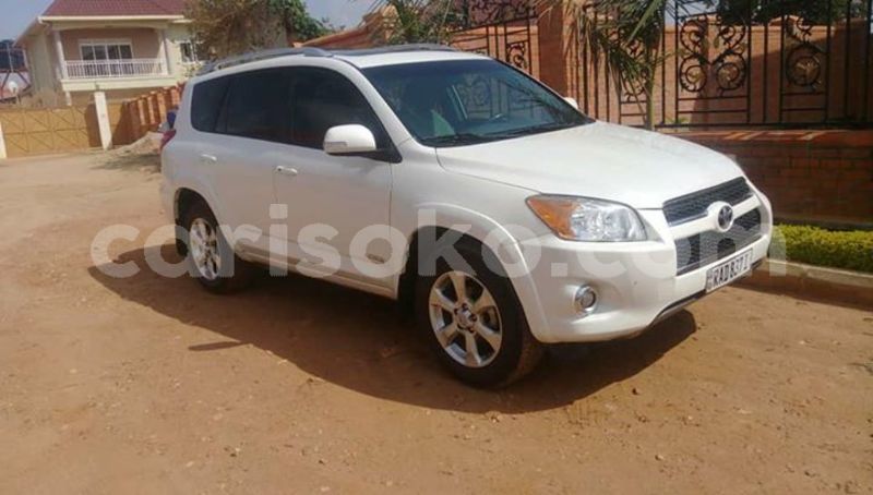 Big with watermark 55510819 10212663698181951 7846793091016032256 n