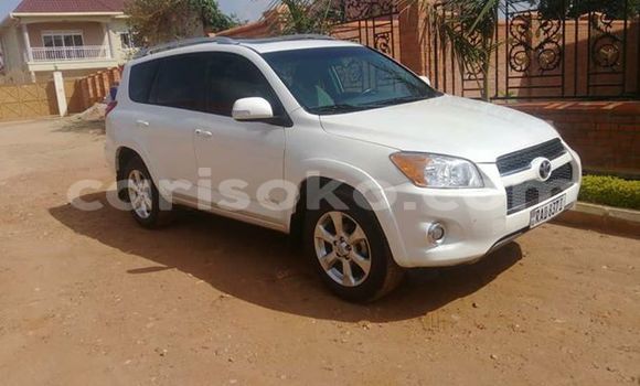 Buy Used Toyota RAV4 White Car in Kigali in Rwanda Buy Used Toyota RAV4 White Car in Kigali in Rwanda
