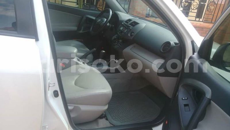 Big with watermark 54277875 10212663697981946 1881769917070442496 n