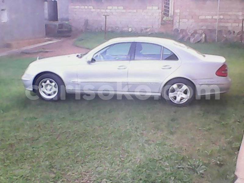 Big with watermark 54798474 10212660763508586 1541808184551800832 n