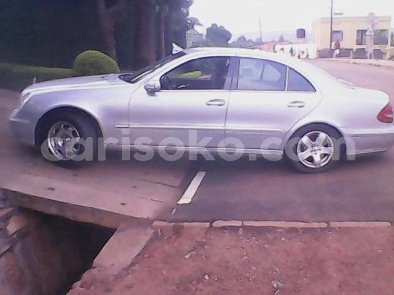 Big with watermark 56213740 10212660763348582 8230208437892415488 n