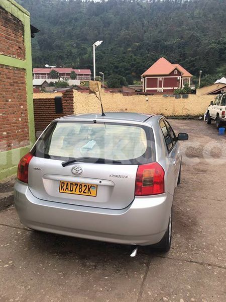 Big with watermark 54800000 10212652518942477 7802275497294954496 n