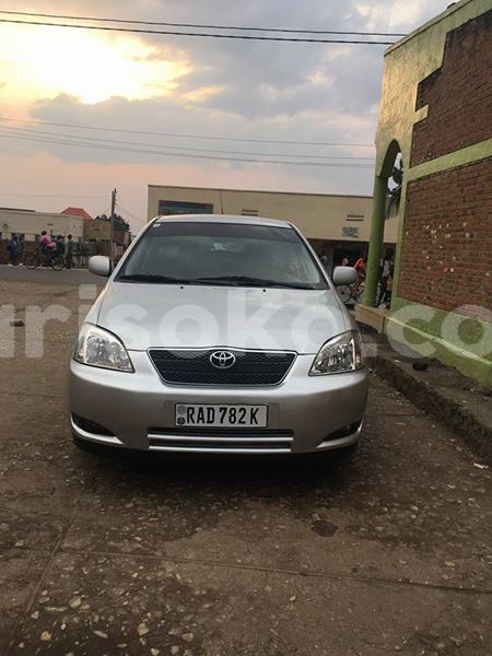 Big with watermark 54255615 10212652518422464 2817684608454230016 n