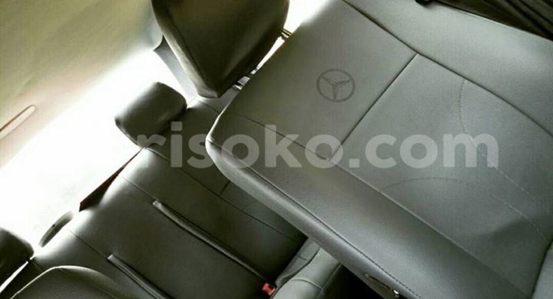 Big with watermark 16711753 939470472849851 2533714810023679868 n