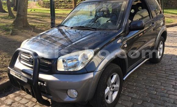 Buy Used Toyota RAV4 Black Car in Kigali in Rwanda Buy Used Toyota RAV4 Black Car in Kigali in Rwanda