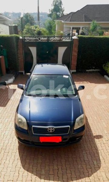 Big with watermark 16508402 687996474706900 565176718935992998 n