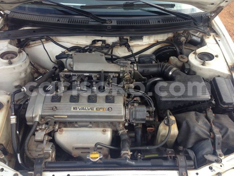 Big with watermark car corolla3