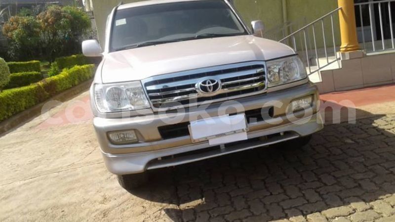 Big with watermark 55869458 2519090808120812 5411603117298941952 o