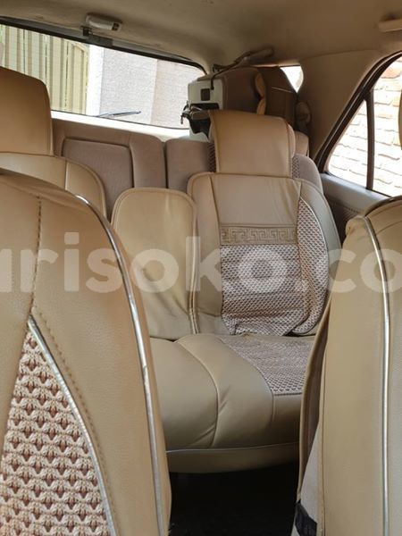 Big with watermark 56161729 2516324181730808 2582819312624467968 n