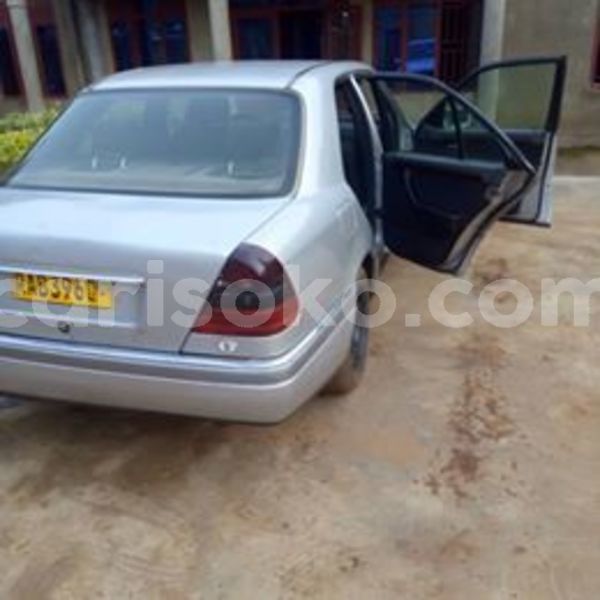 Big with watermark 54525372 2507927422570484 6822301090063581184 n