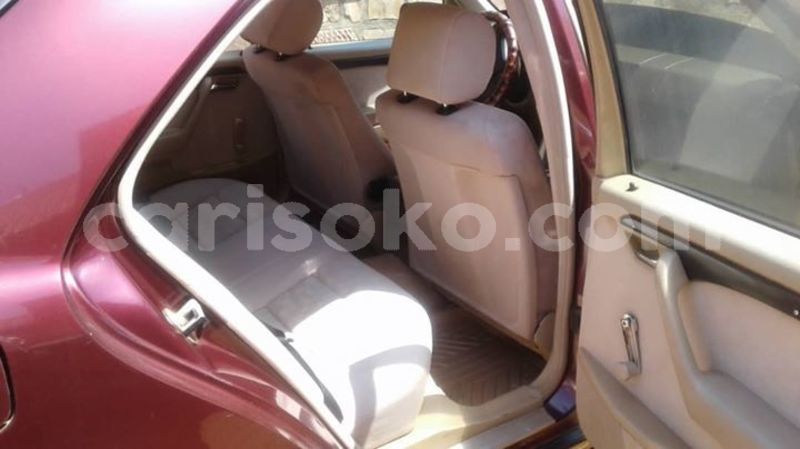 Big with watermark 55495894 2507927682570458 4284732607976964096 o