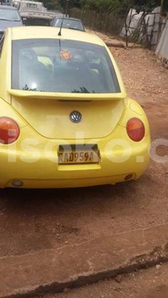 Big with watermark 55680175 2507912422571984 7960387786219978752 n