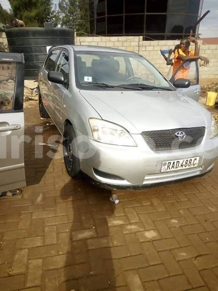 Big with watermark 54727478 2497420473621179 7998973222651428864 n