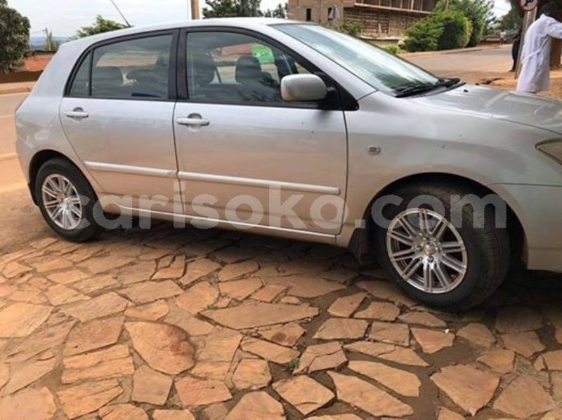 Big with watermark 54728511 2497420440287849 8755478956758532096 n