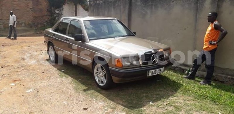 Big with watermark 54428408 2494263503936876 3539585980036022272 o