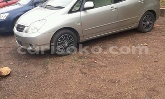 Buy Used Toyota Spacio Silver Car in Kigali in Rwanda Buy Used Toyota Spacio Silver Car in Kigali in Rwanda