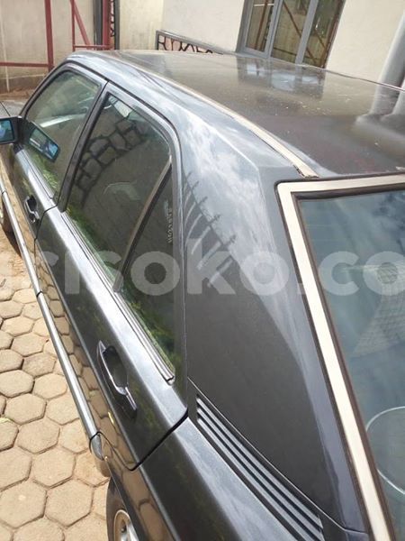 Big with watermark 52803028 2467559426607284 3389771593696673792 n