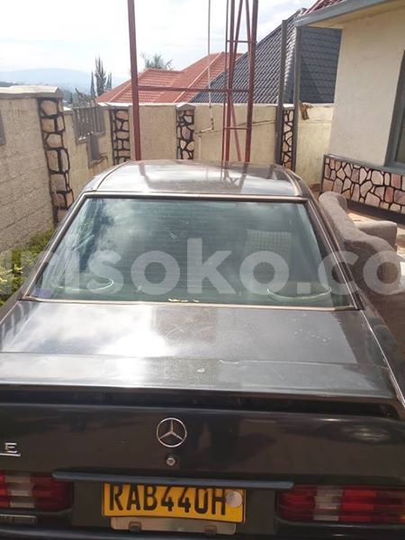 Big with watermark 53305498 2467559373273956 4850238294572662784 n