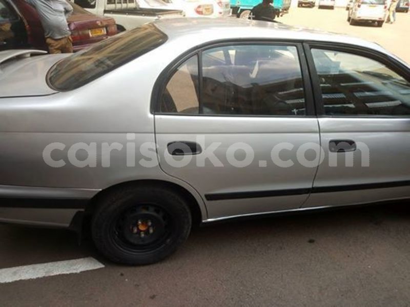 Big with watermark 51931734 2440926232603937 2814429495690264576 n