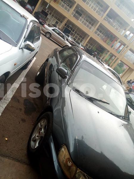 Big with watermark 51757375 2440681759295051 6771688899094773760 n