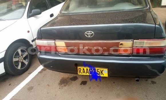 Buy Used Toyota Corolla Black Car in Kigali in Rwanda Buy Used Toyota Corolla Black Car in Kigali in Rwanda