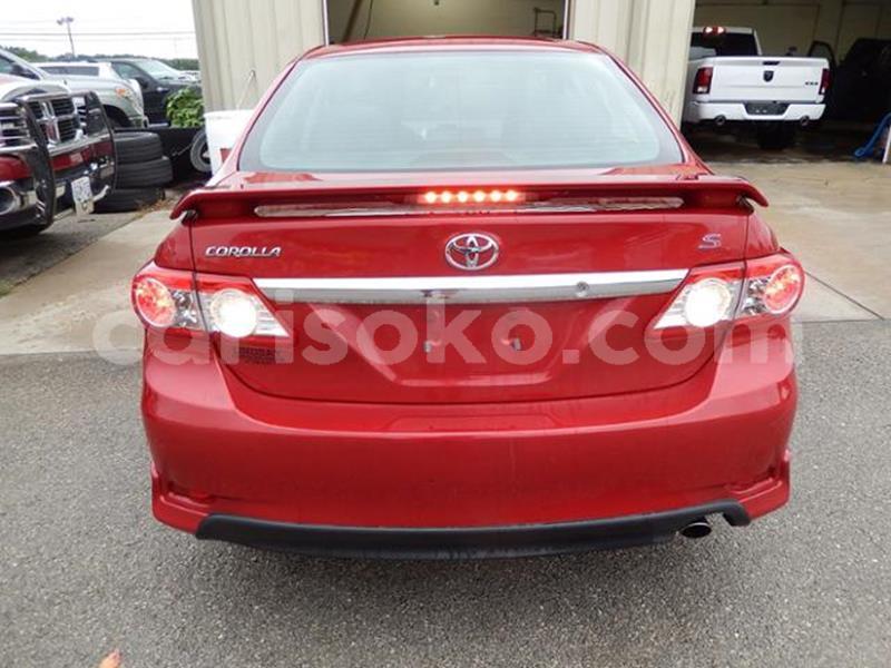 Big with watermark t5