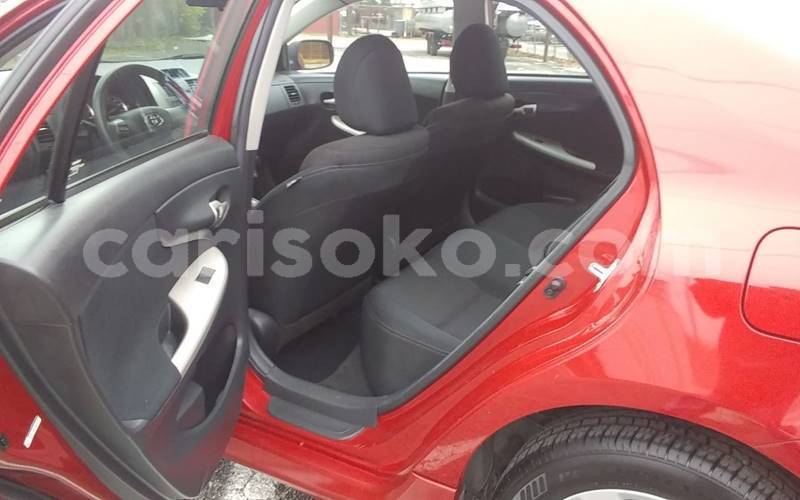 Big with watermark t13