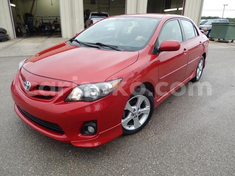 Big with watermark t15